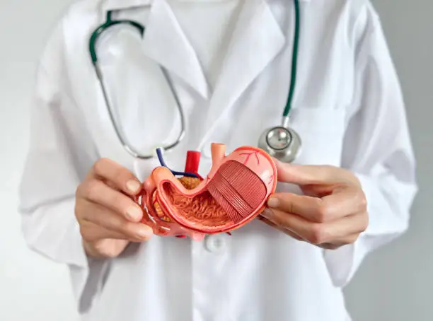 Gastroenterology Medical Billing Services
