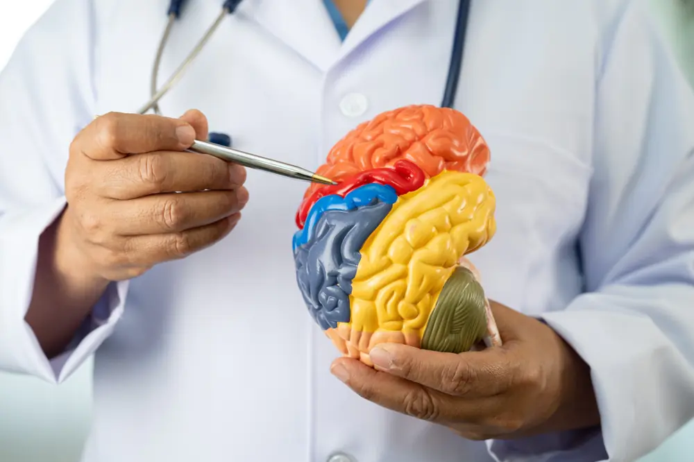 Neurology Medical Billing Services